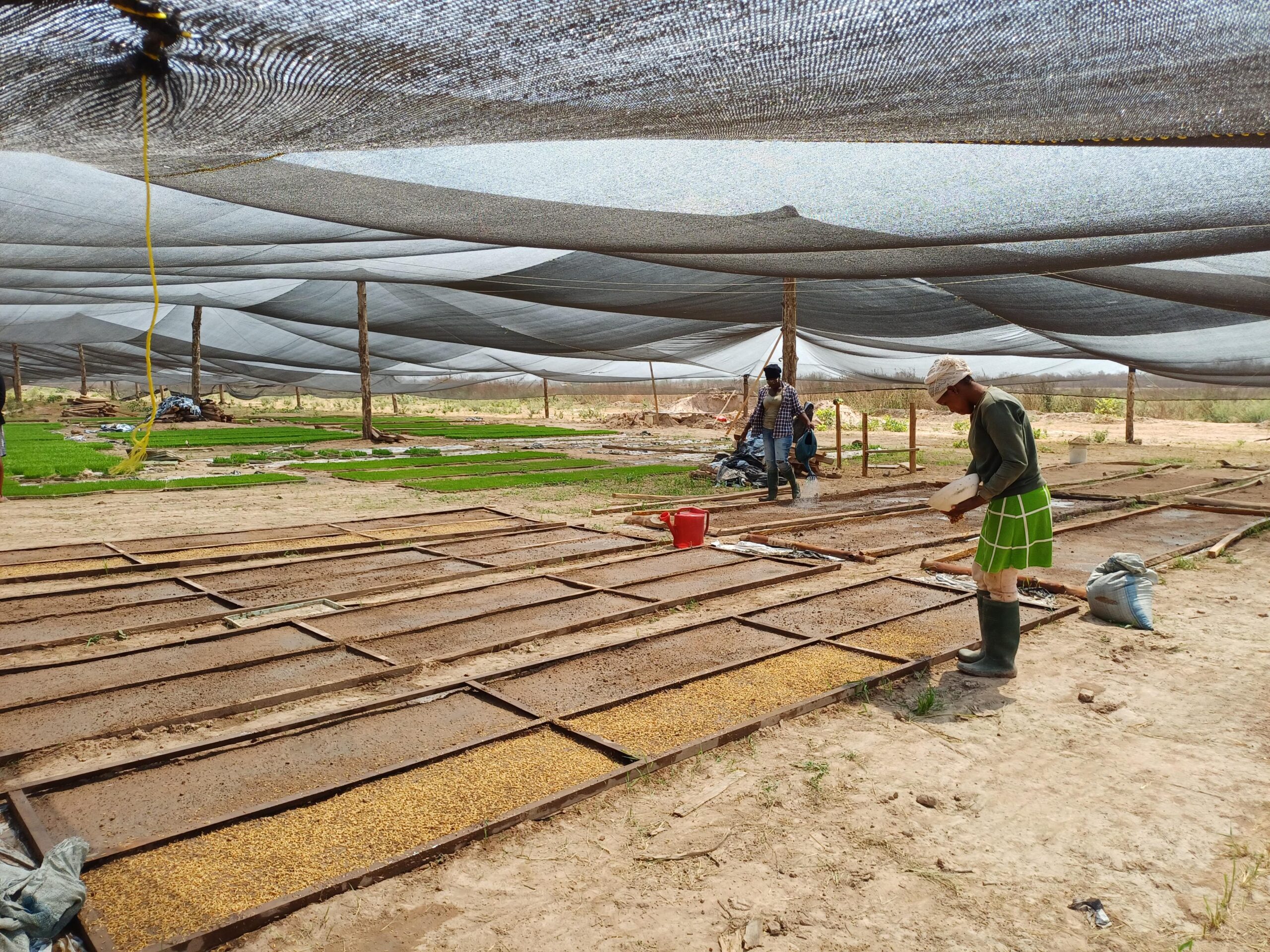 Nobi%20Agriculture%20Ltd